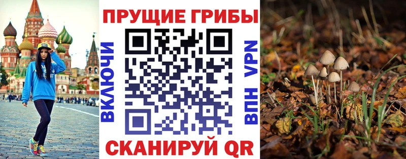 darknet Telegram  Игарка  Псилоцибиновые грибы Psilocybine cubensis 